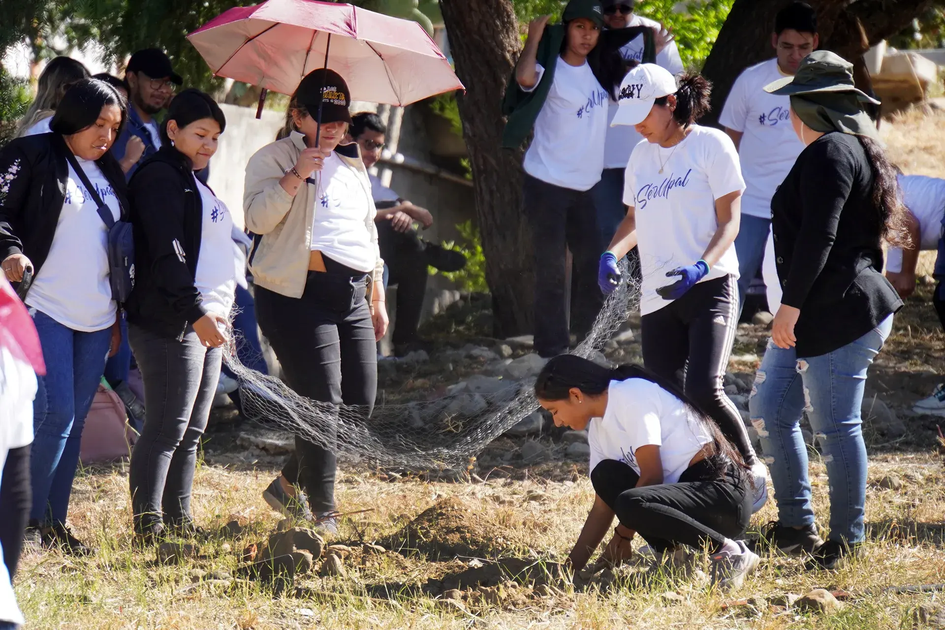 Estudiantes de la UPAL protegiendo una plantación con malla